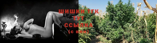 МДПВ Ельня