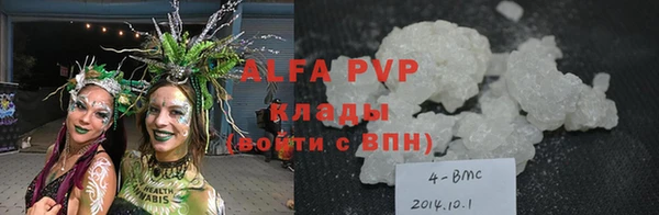 МДПВ Ельня