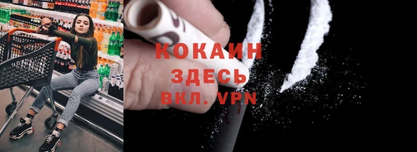 МДПВ Ельня