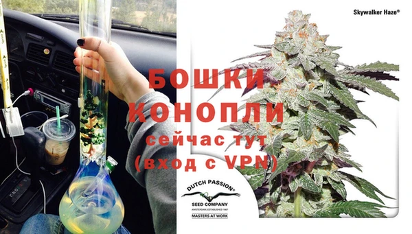 МДПВ Ельня