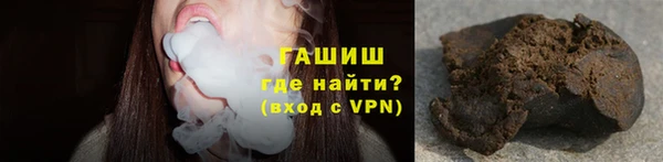 МДПВ Ельня