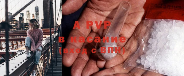 МДПВ Ельня