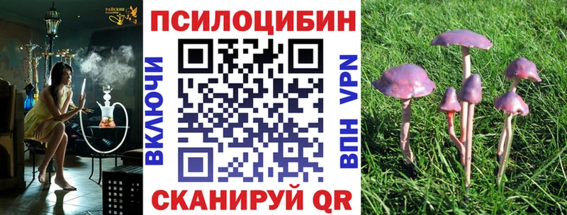 Псилоцибиновые грибы мицелий Спасск
