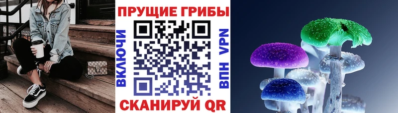 Купить закладки  Спасск  Галлюциногенные грибы прущие грибы 